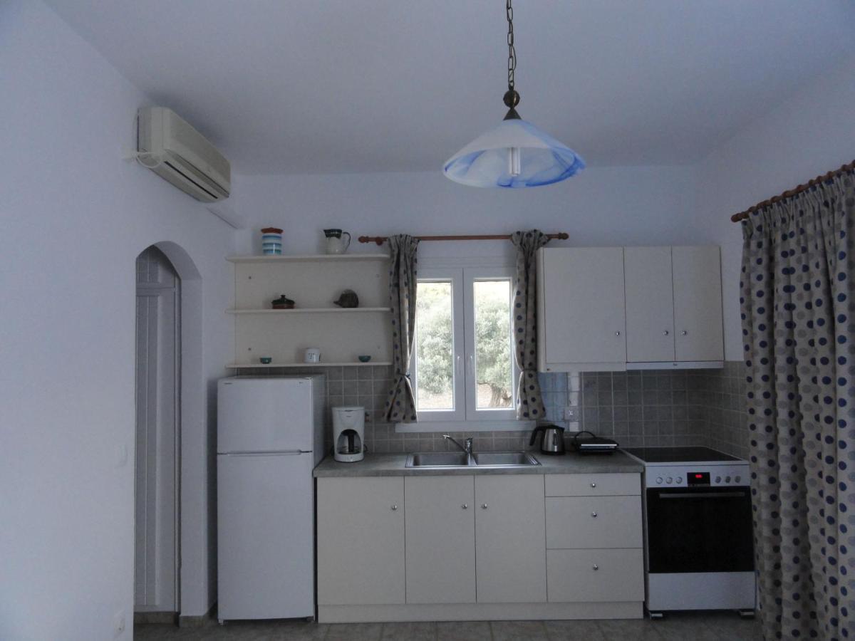 Agrilia Apartments & Studios Vathi  Esterno foto